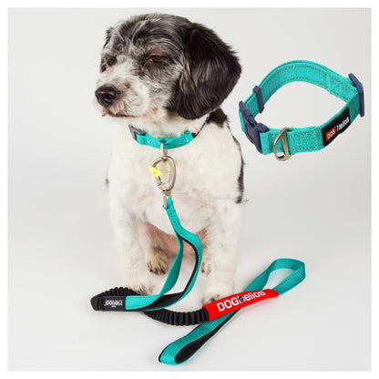 Dog Helios ® 'Neo-Indestructible' 2-in-1 Accordion Dog Collar and Leash