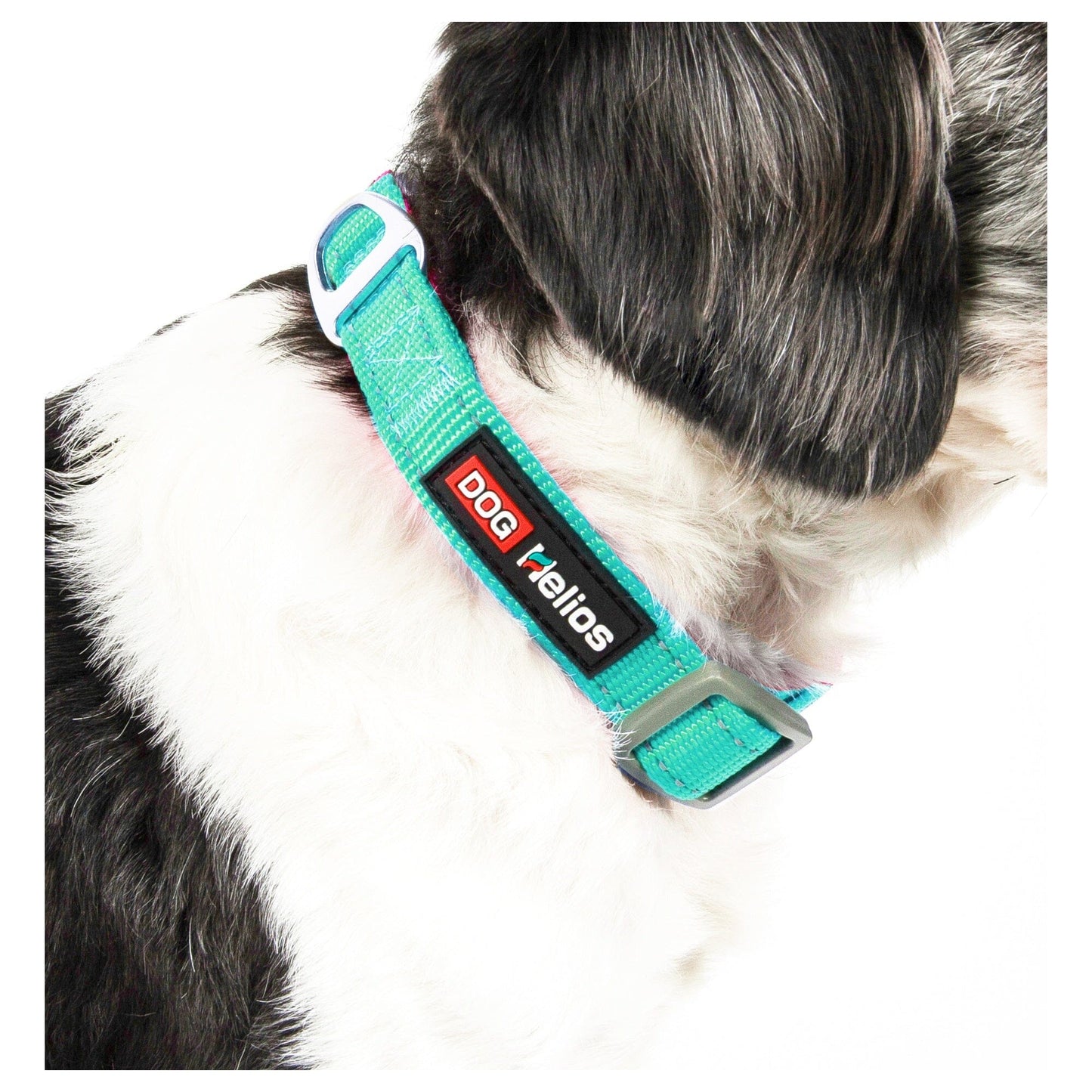 Dog Helios ® 'Neo-Indestructible' 2-in-1 Accordion Dog Collar and Leash