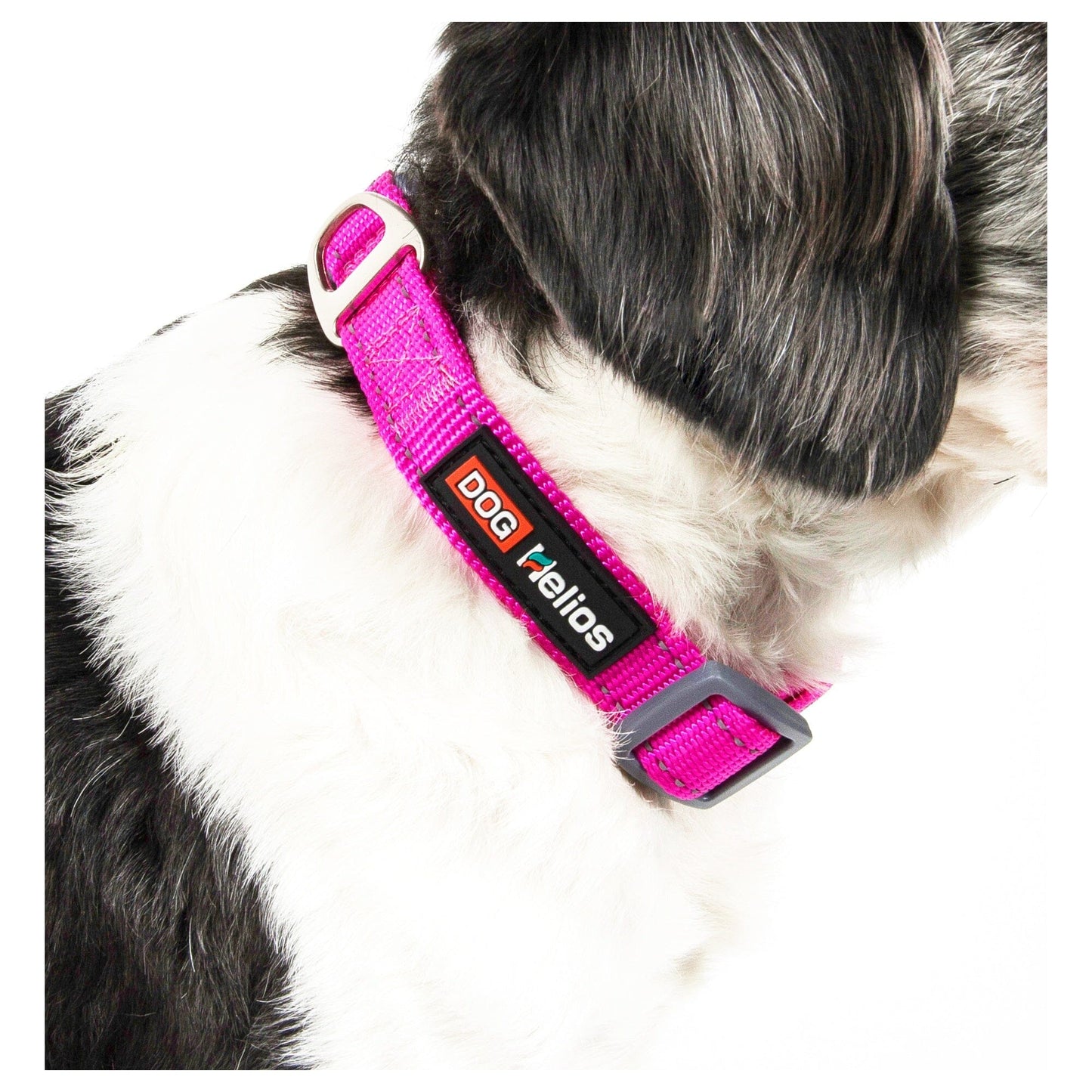 Dog Helios ® 'Neo-Indestructible' 2-in-1 Accordion Dog Collar and Leash