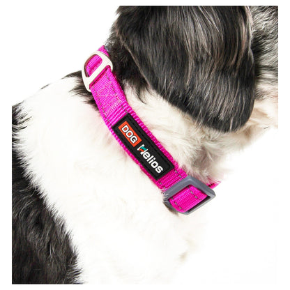 Dog Helios ® 'Neo-Indestructible' 2-in-1 Accordion Dog Collar and Leash