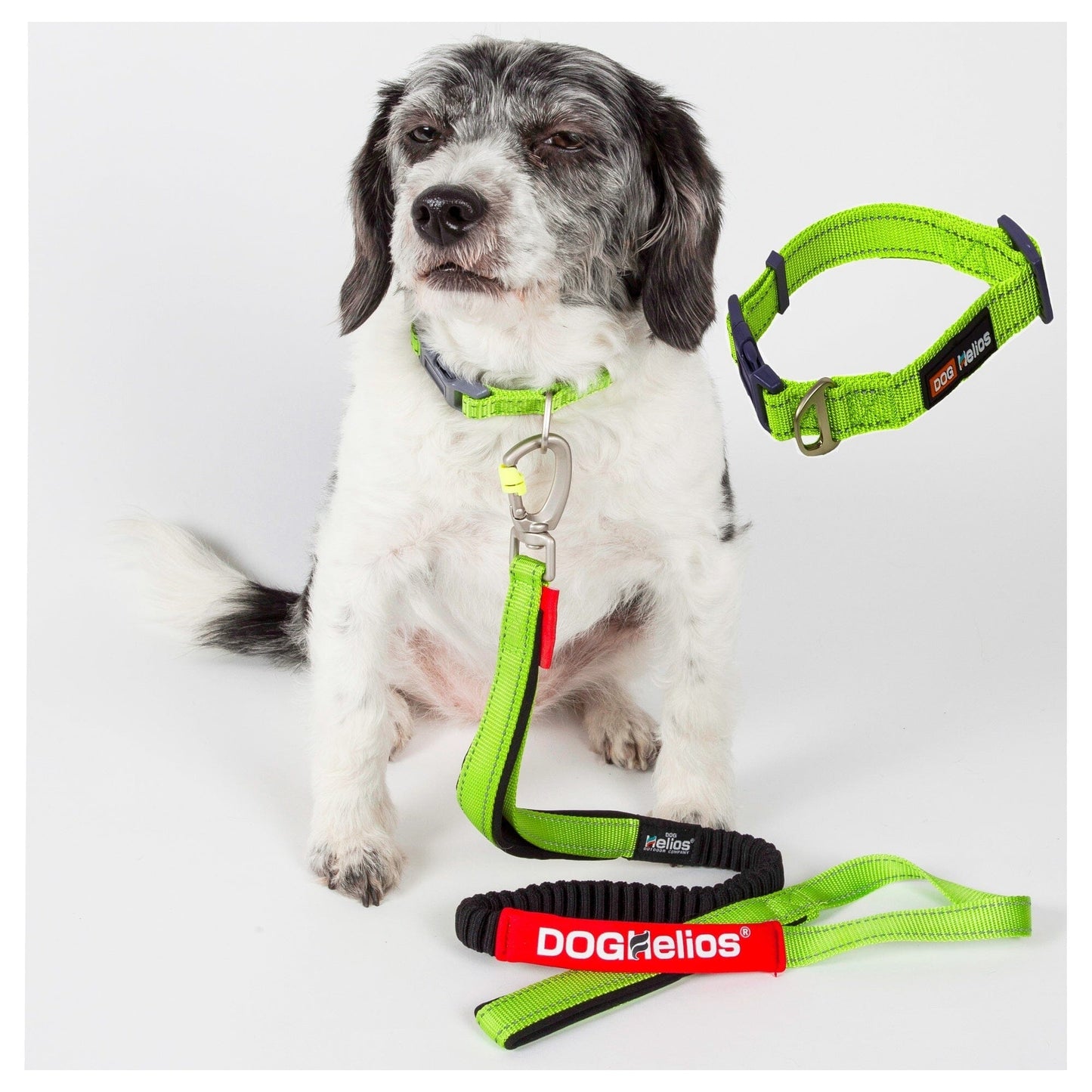 Dog Helios ® 'Neo-Indestructible' 2-in-1 Accordion Dog Collar and Leash