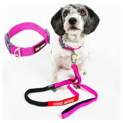 Dog Helios ® 'Neo-Indestructible' 2-in-1 Accordion Dog Collar and Leash