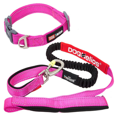 Dog Helios ® 'Neo-Indestructible' 2-in-1 Accordion Dog Collar and Leash