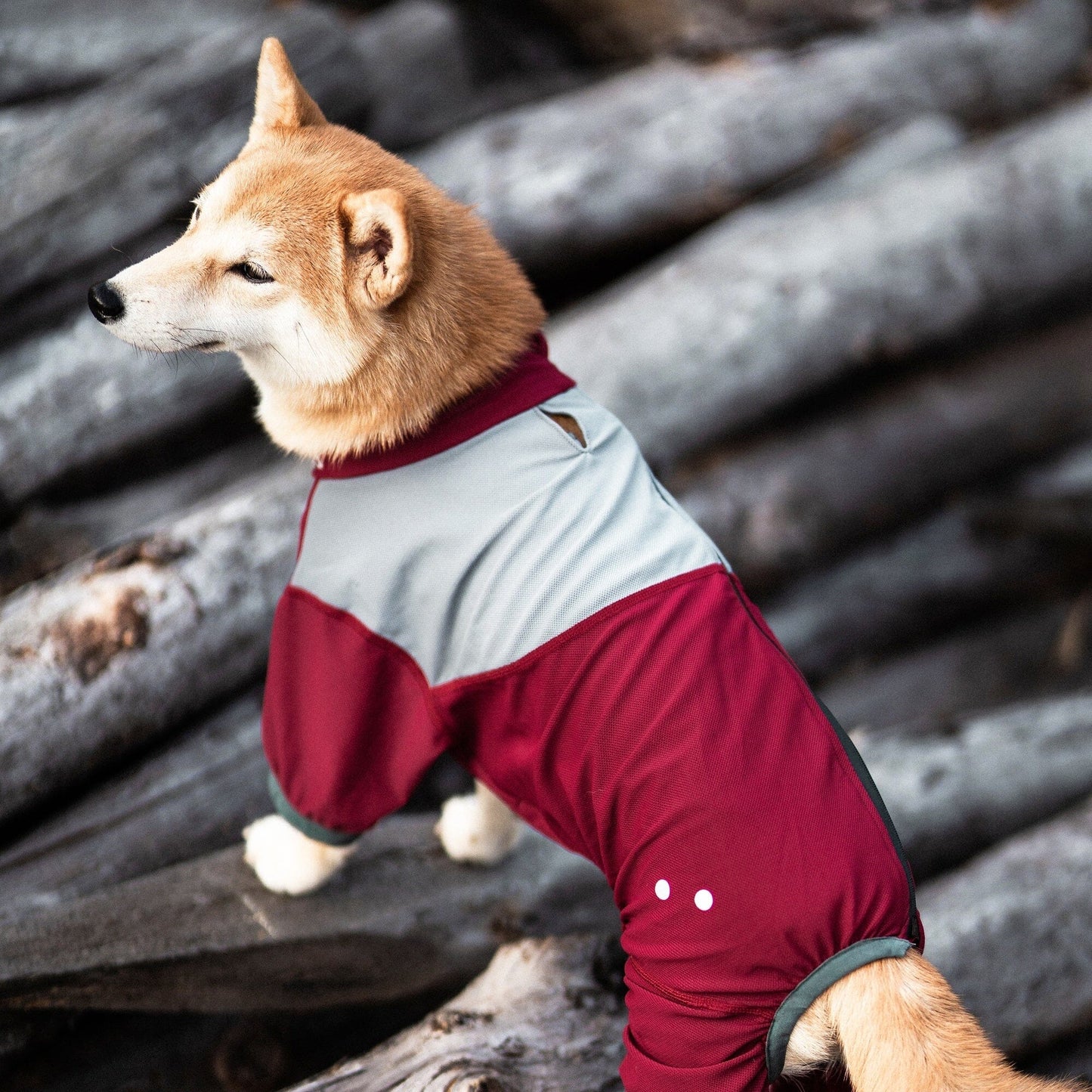Dog Helios ® 'Tail Runner' Lightweight 4-Way-Stretch Breathable Yoga Dog Tracksuit