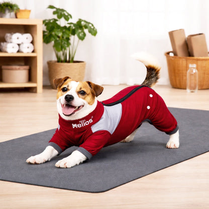 Dog Helios ® 'Tail Runner' Lightweight 4-Way-Stretch Breathable Yoga Dog Tracksuit