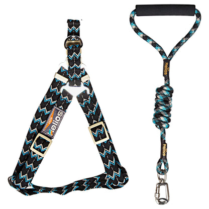 Dog Helios 'Surfside' Adjustable Dog Harness and Leash