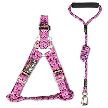 Dog Helios Surfside Designer Leash and Harness