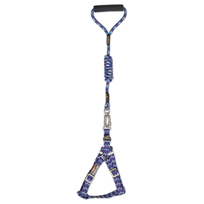 Dog Helios Surfside Designer Leash and Harness