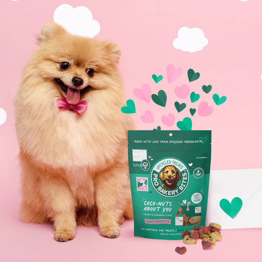 NEW! Coco-Nuts About You - Coconut & Strawberry Flavor