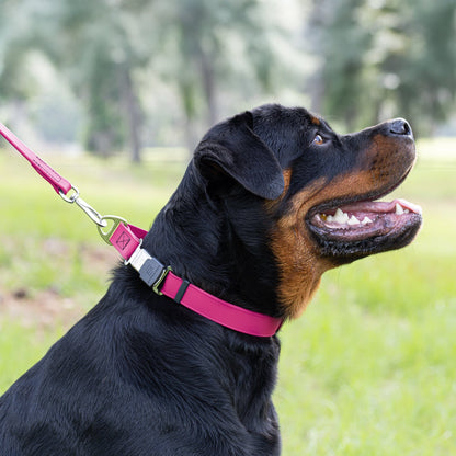 Sprenger BioThane Waterproof Dog Collar with Stainless Steel ClicLock Quick Release Buckle