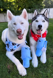 Pup Cup Tumbler Plush Squeaky Dog Toy- Ideal Birthday Dog Toy Gift