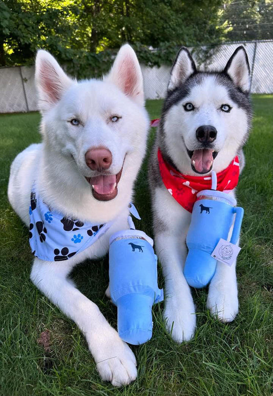 Pup Cup Tumbler Plush Squeaky Dog Toy- Ideal Birthday Dog Toy Gift