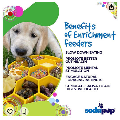 SodaPup True Dogs Honeycomb eBowl deep slow feeder dog bowl with honeycomb design for enrichment, made in the USA