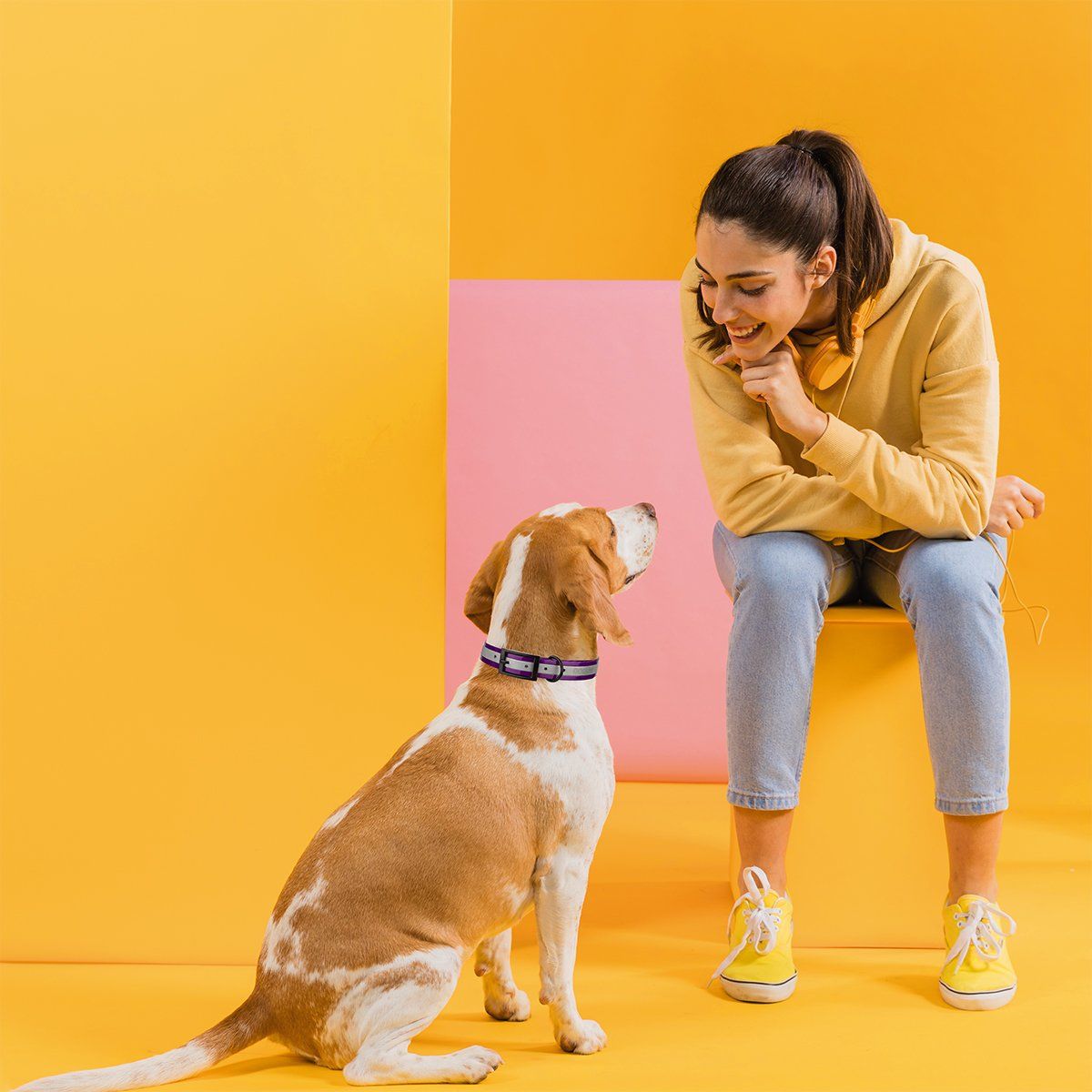 Biothane Translucent Reflective Dog Collar
