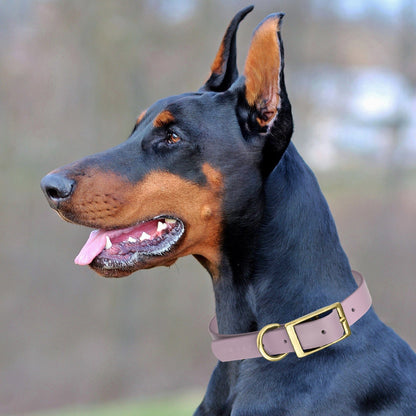 Viper Biothane Waterproof Dog Collar - Brass Hardware - Size XL (22 to 25 inches)