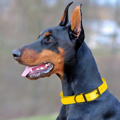 Dogline Biothane Waterproof Dog Collar with Black Hardware - Size XS (9 to 12 inches)