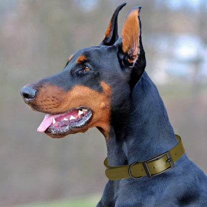 Dogline Biothane Waterproof Dog Collar with Black Hardware - Size M (15 to 18 inches)