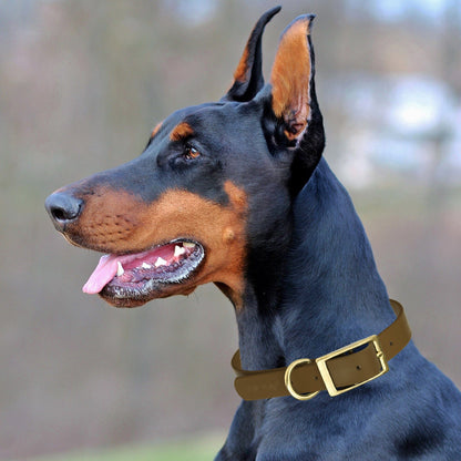 Viper Biothane Waterproof Dog Collar - Brass Hardware - 1.5in Wide, Size XL (20 to 24 inches)