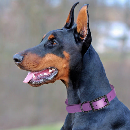 Dogline Biothane Waterproof Dog Collar with Black Hardware -  1.5" Wide, Size XL (20 to 24 inches)