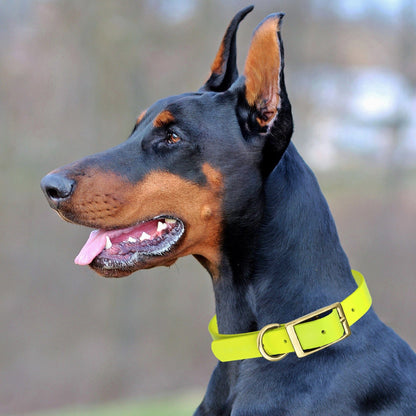 Viper Biothane Waterproof Dog Collar - Brass Hardware - 1.5in Wide, Size XXL (24 to 28 inches)