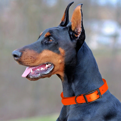 BioThane Waterproof Dog Collar - XS: L 12"-15" x W 5/8" - Black OR Brass Hardware