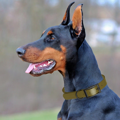 Dogline Biothane Waterproof Dog Collar with Black Hardware - Size S (12 to 15 inches)