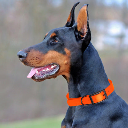 Dogline Biothane Waterproof Dog Collar with Black Hardware -  1.5" Wide, Size XXL (24 to 28 inches)