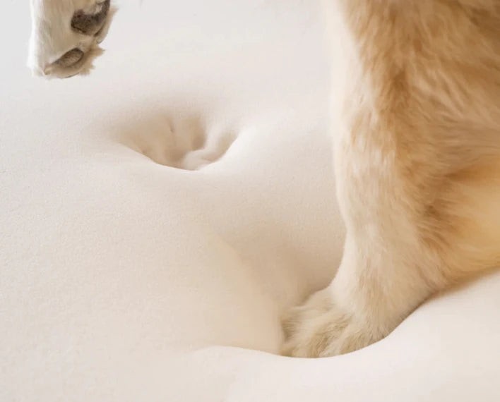 Paw Puprug Animal Print Luxury Memory Foam Dog Bed Brown Faux Cowhide