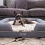 PupLounge™ Memory Foam Luxury Dog Bolster Bed & Topper
