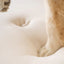 Paw PupRug Faux Fur Orthopedic Luxury Dog Bed Curve Grey