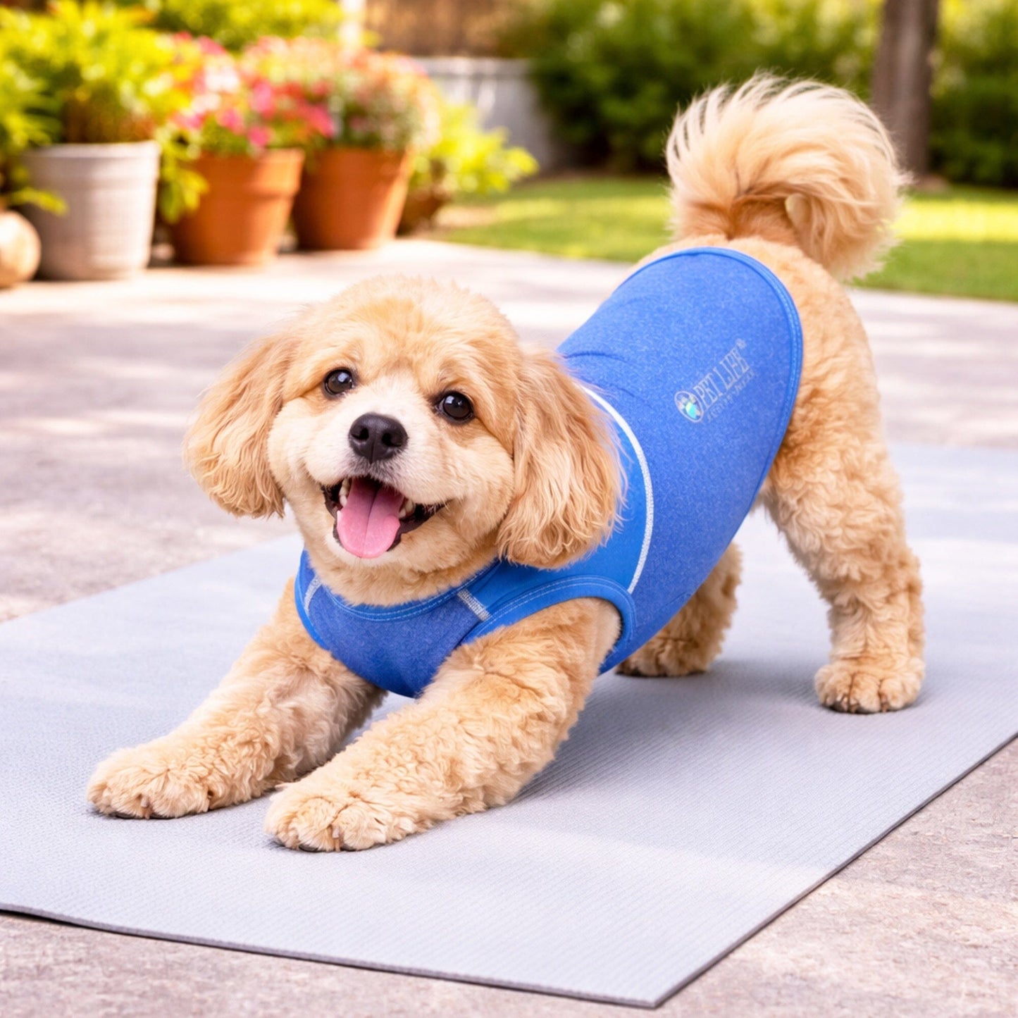 Pet Life ® Active 'Aero-Pawlse' Quick-Dry and 4-Way-Stretch Yoga Fitness Dog T-Shirt Tank Top