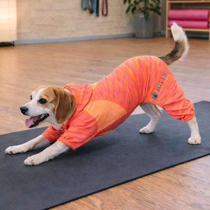 Pet Life ® Active 'Downward Dog' 4-Way-Stretch Fitness Yoga Dog Tracksuit Hoodie