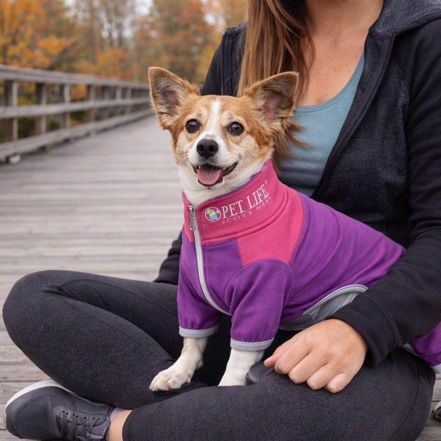 Pet Life ®  Active 'Embarker' 4-Way Stretch Fitness Yoga Full Body Dog Tracksuit