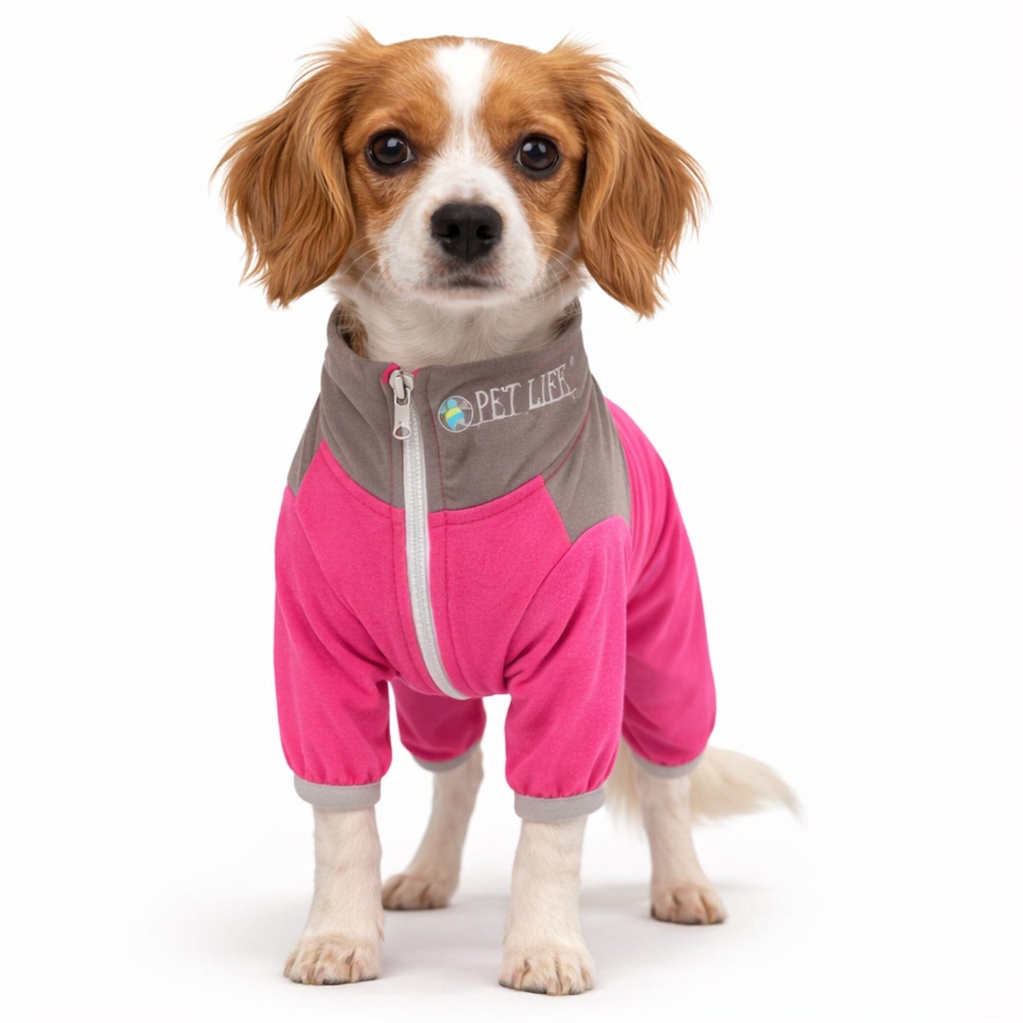 Pet Life ®  Active 'Embarker' 4-Way Stretch Fitness Yoga Full Body Dog Tracksuit