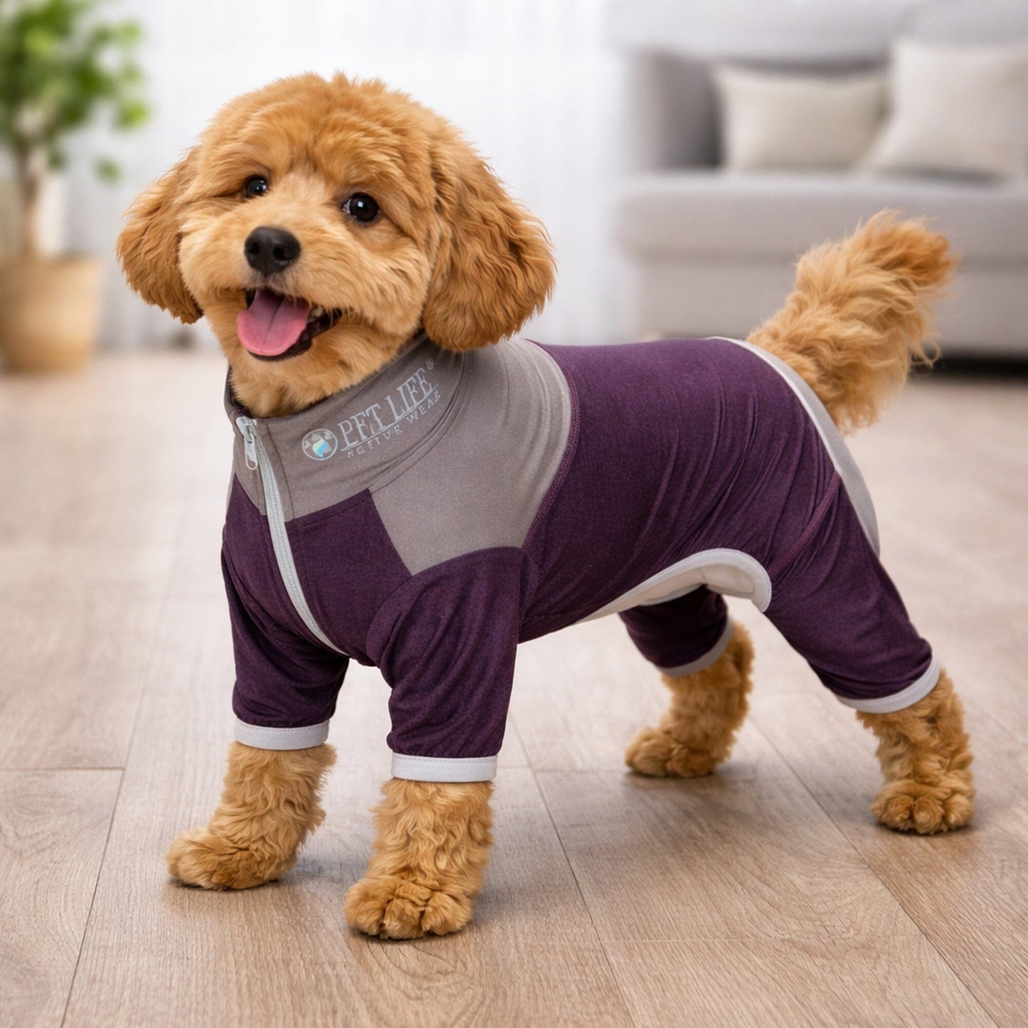 Pet Life ®  Active 'Embarker' 4-Way Stretch Fitness Yoga Full Body Dog Tracksuit