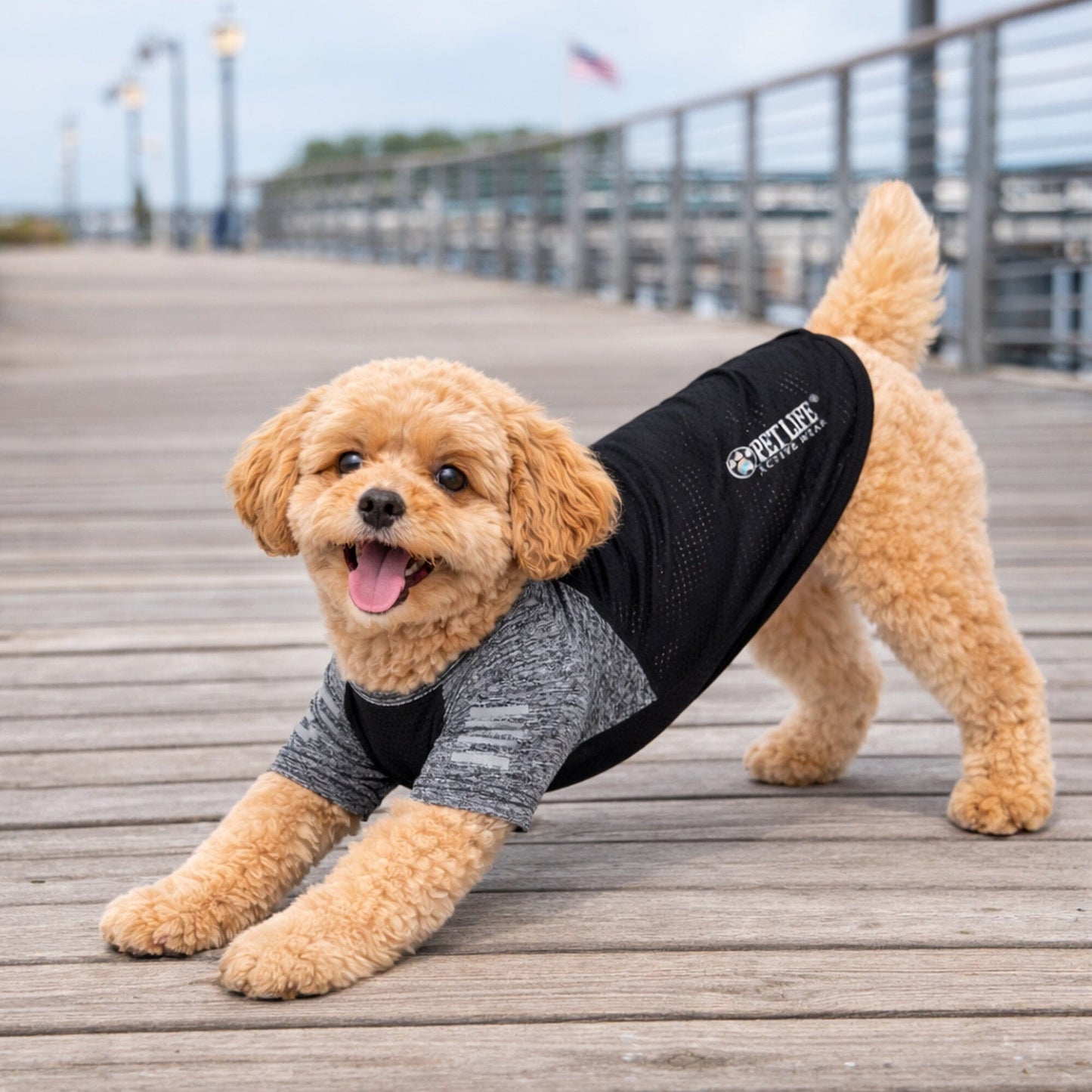 Pet Life ® Active 'Hybreed' 4-Way-Stretch Fitness Performance Dog T-Shirt
