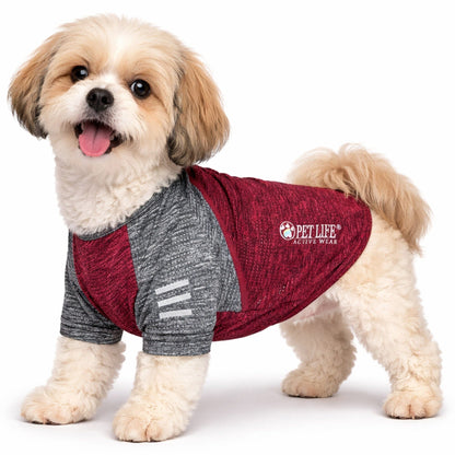 Pet Life ® Active 'Hybreed' 4-Way-Stretch Fitness Performance Dog T-Shirt