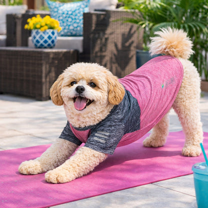 Pet Life ® Active 'Hybreed' 4-Way-Stretch Fitness Performance Dog T-Shirt