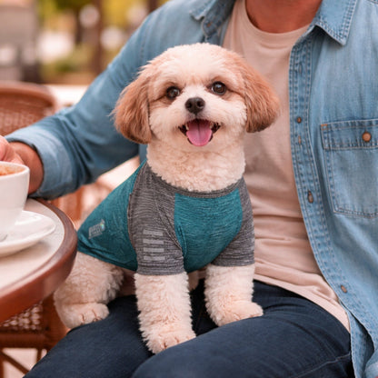 Pet Life ® Active 'Hybreed' 4-Way-Stretch Fitness Performance Dog T-Shirt
