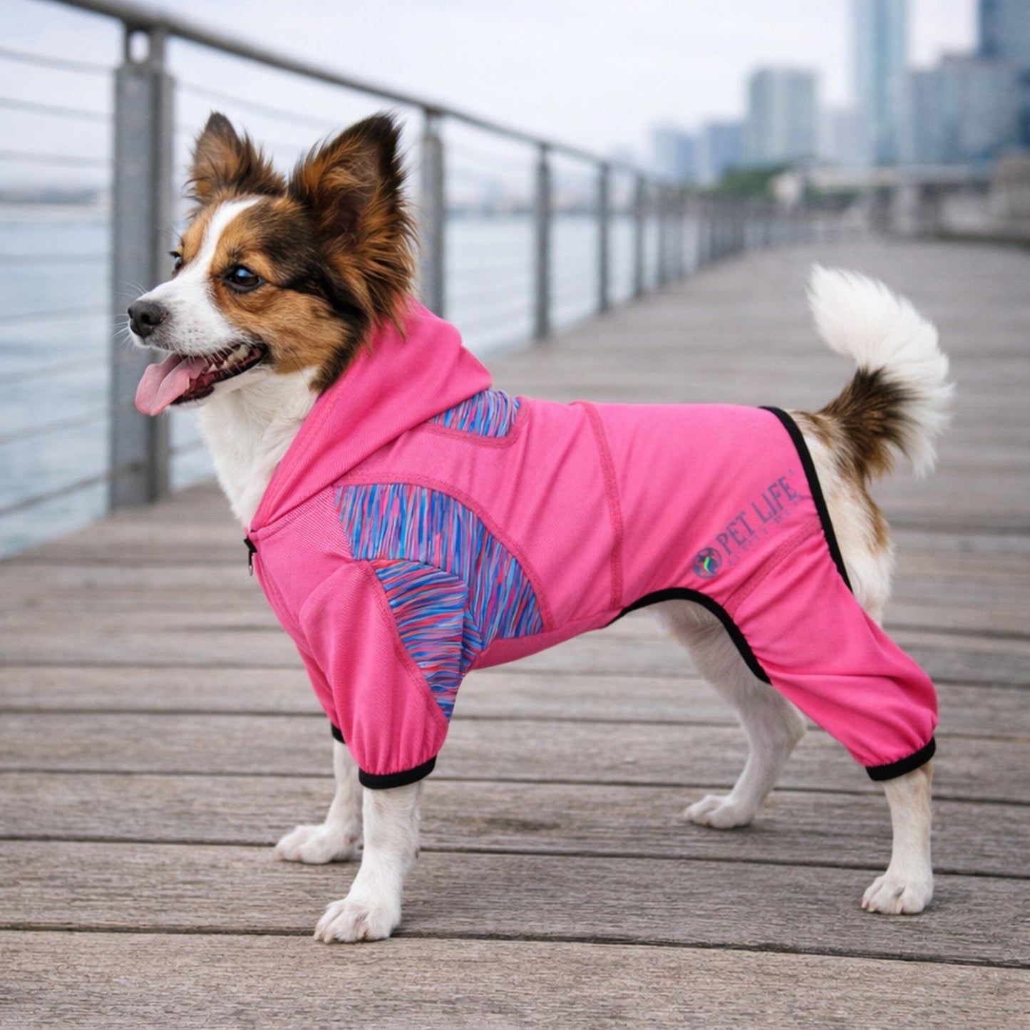 Pet Life ® Active 'Pawsterity' Mediumweight 4-Way-Stretch Yoga Fitness Dog Tracksuit Hoodie
