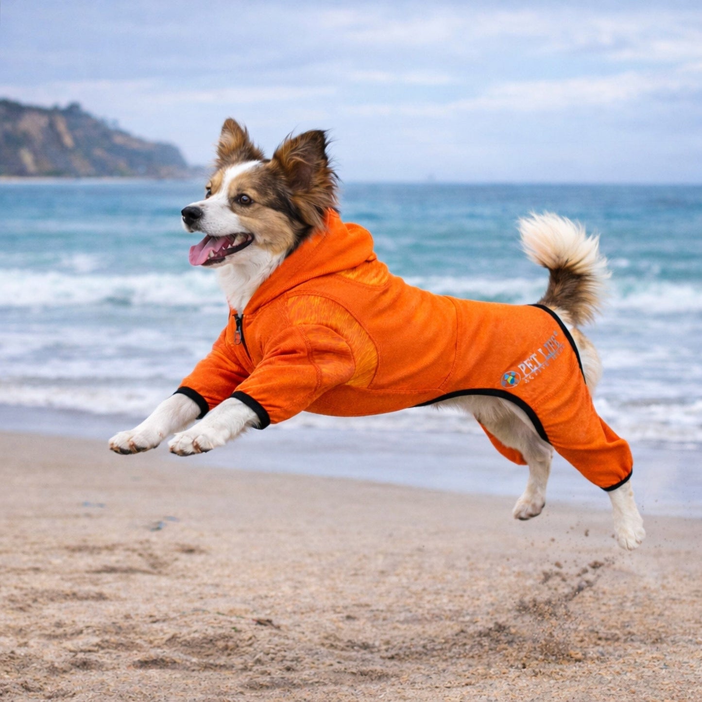 Pet Life ® Active 'Pawsterity' Mediumweight 4-Way-Stretch Yoga Fitness Dog Tracksuit Hoodie