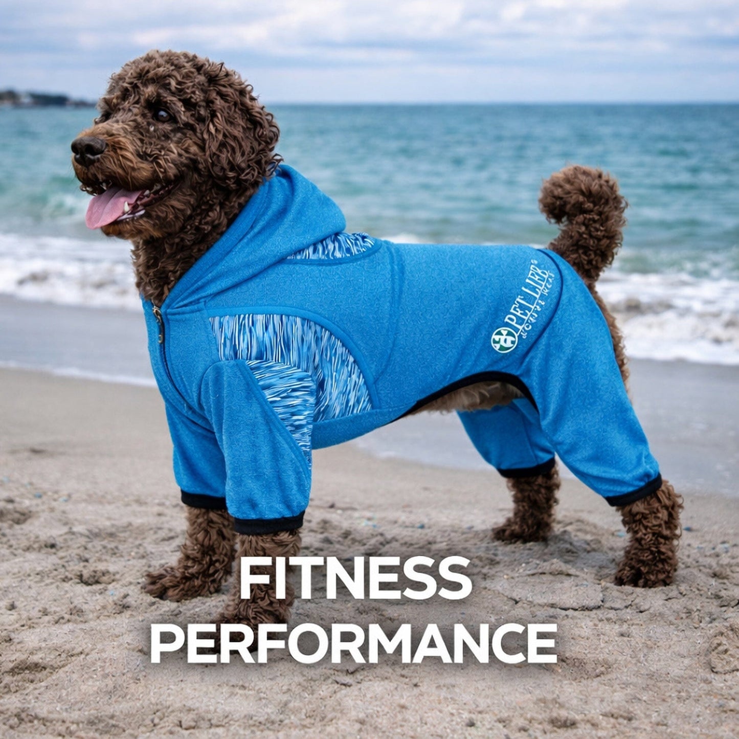 Pet Life ® Active 'Pawsterity' Mediumweight 4-Way-Stretch Yoga Fitness Dog Tracksuit Hoodie