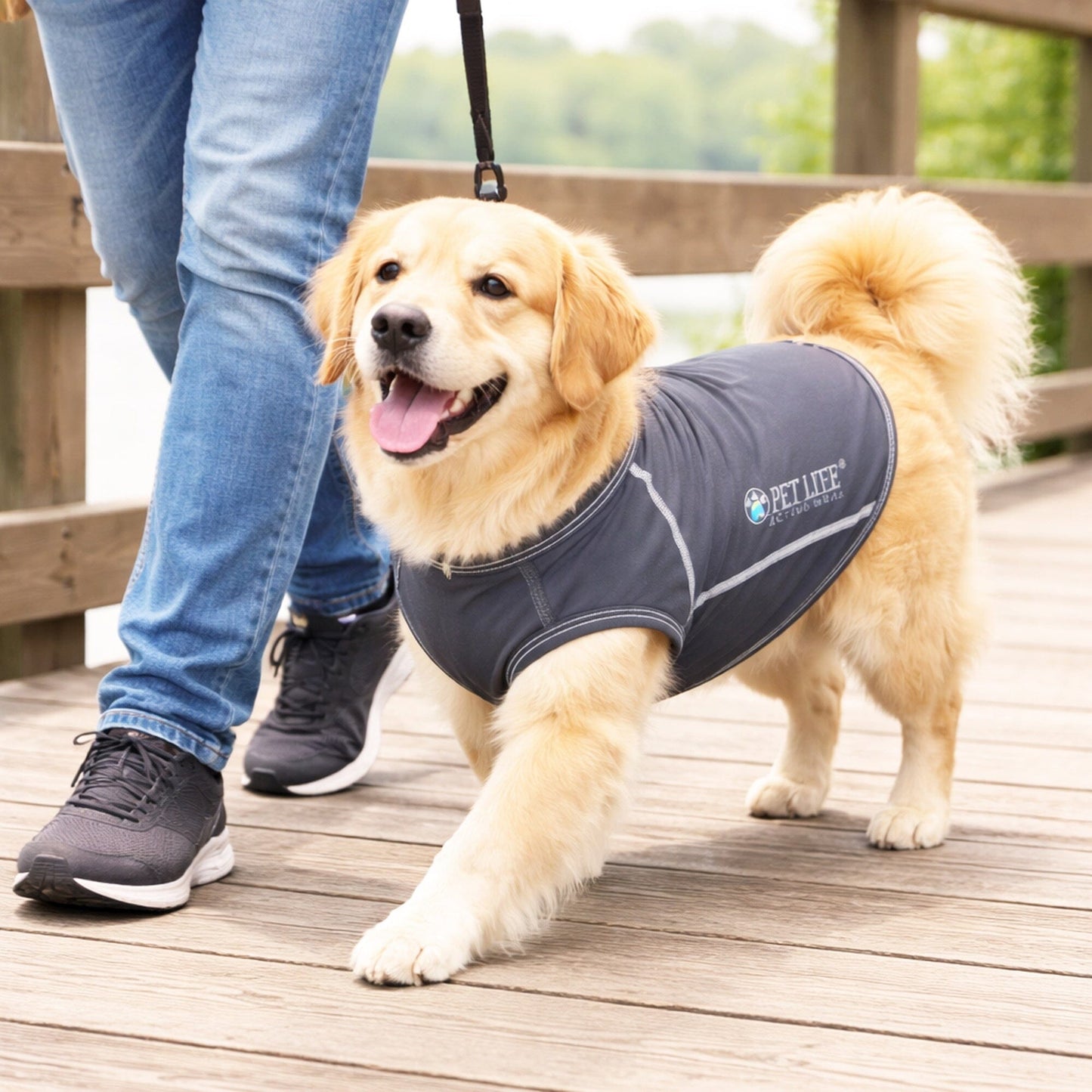 Pet Life ®  Active 'Racerbark' 4-Way-Stretch Yoga Fitness Dog T-Shirt Tank Top