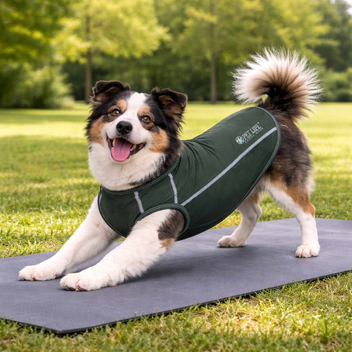 Pet Life ®  Active 'Racerbark' 4-Way-Stretch Yoga Fitness Dog T-Shirt Tank Top