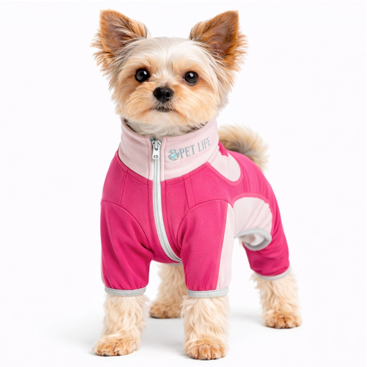 Pet Life ® Active 'Warm-Pup' Stretchy and Quick-Drying Fitness Dog Yoga Warm-Up Tracksuit