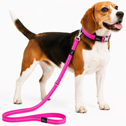 Pet Life ® 'Advent' Outdoor Series 3M Reflective 2-in-1 Durable Martingale Training Dog Leash and Collar