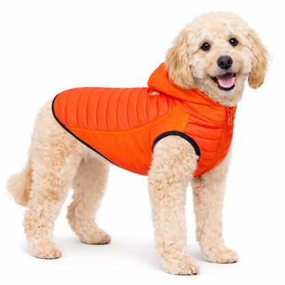 Pet Life ® 'Apex' Lightweight Hybrid 4-Season Stretch and Quick-Dry Dog Coat w/ Pop out Hood