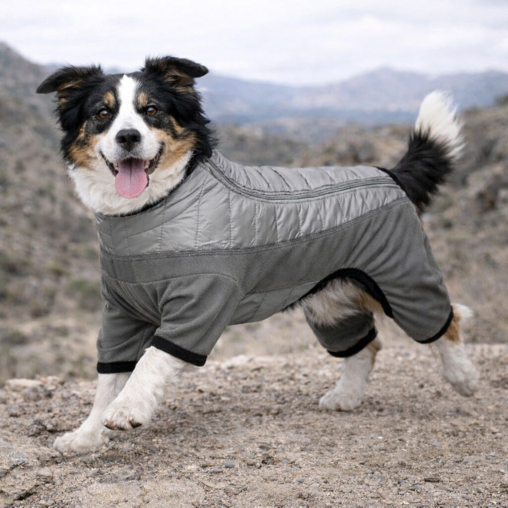 Pet Life ® 'Aura-Vent' Lightweight 4-Season Stretch and Quick-Dry Full Body Dog Jacket