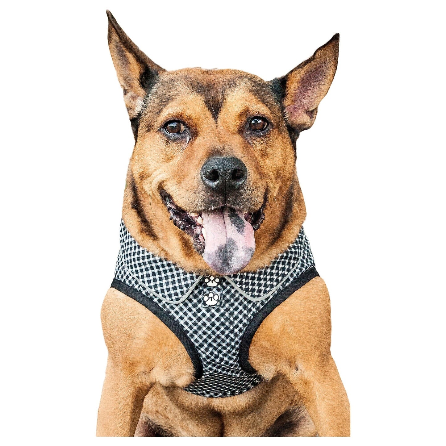 Pet Life ® 'Checkerwag' Checkered Mesh Reversed and Adjustable Fashion Dog Harness