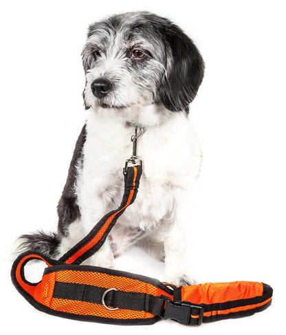 Pet Life ® 'Echelon' Hands Free and Convertible 2-In-1 Training Pet Dog Leash and Pet Belt Trainer